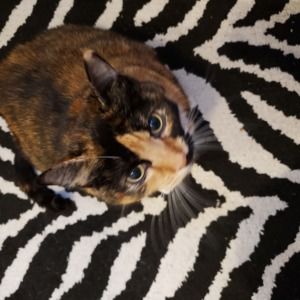 Meet your Posher, Denise